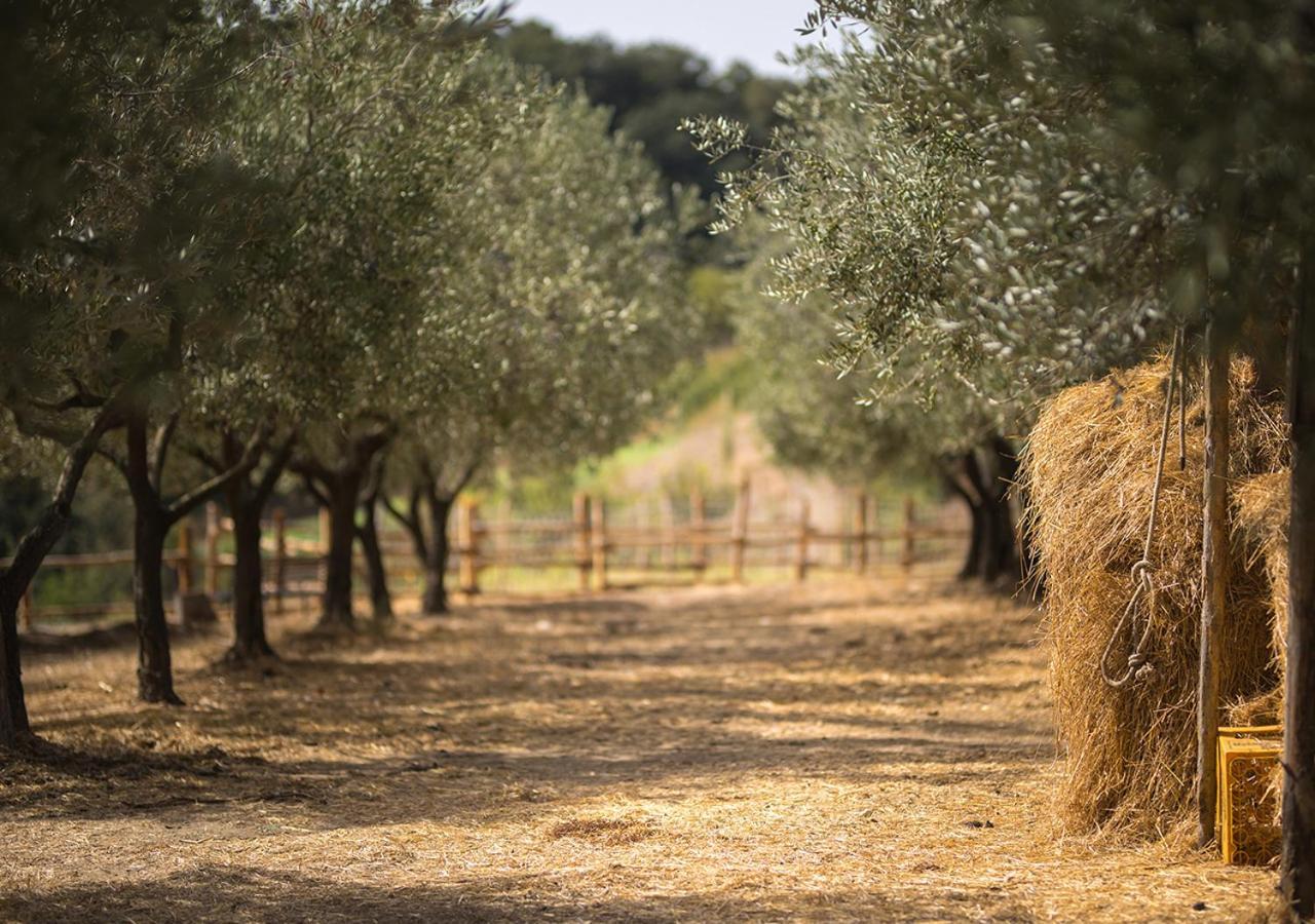 Vila Casa Agricola Scorziello Serre  Exteriér fotografie